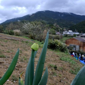 倉橋神社から音羽山を