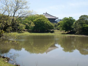 大仏池から大講堂を望む