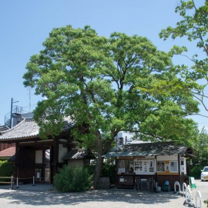 元興寺・極楽院の受付