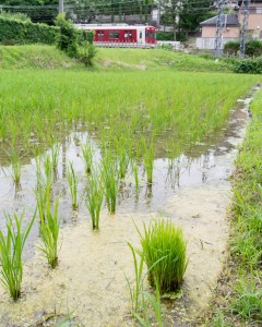 近鉄京都線際の田