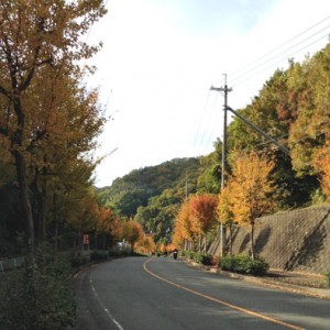 立野への抜け道