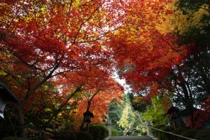 一言さんの紅葉