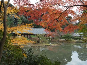 浄瑠璃寺の九体阿弥陀堂