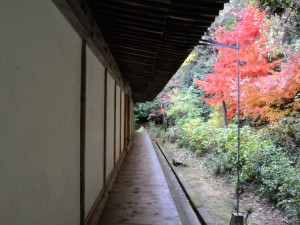 浄瑠璃寺阿弥陀堂の回廊