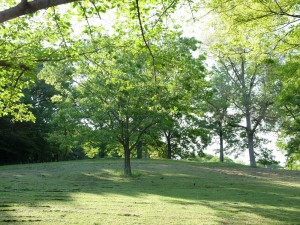 馬見丘陵カタビ古墳群の墳丘