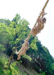 生田地区の勧進縄