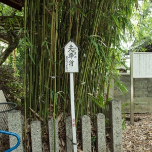 在原神社の夫婦竹