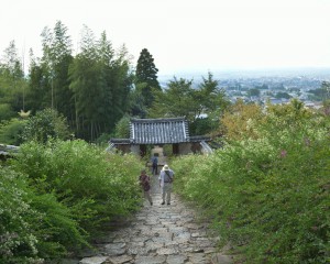 白毫寺の石段と萩