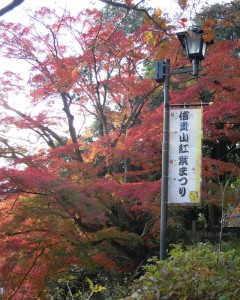 信貴山仁王門の紅葉