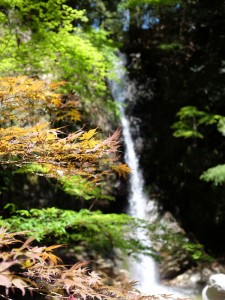 東吉野村・投石の滝