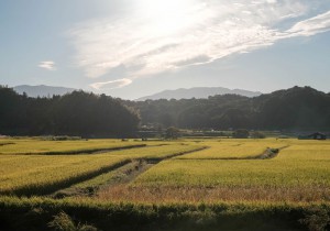 飛鳥から金剛・葛城を望む