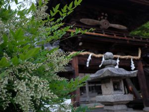 航空祖神の額と花南天